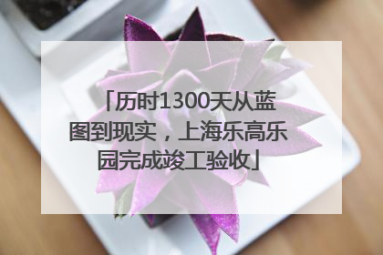 历时1300天从蓝图到现实，上海乐高乐园完成竣工验收
