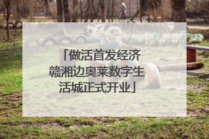 做活首发经济 赣湘边奥莱数字生活城正式开业