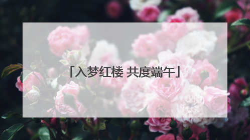 入梦红楼 共度端午