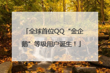 全球首位QQ“金企鹅”等级用户诞生！