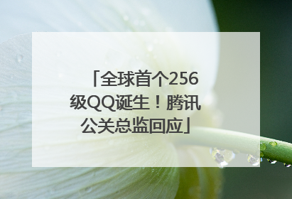全球首个256级QQ诞生！腾讯公关总监回应