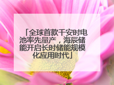全球首款千安时电池率先量产，海辰储能开启长时储能规模化应用时代