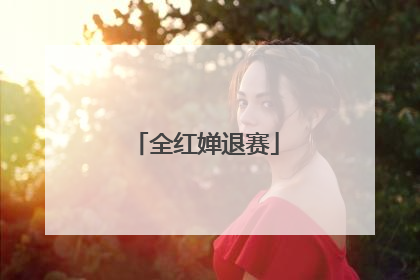 全红婵退赛