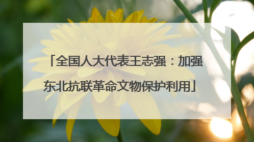 全国人大代表王志强：加强东北抗联革命文物保护利用