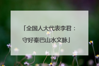 全国人大代表李君：守好秦巴山水文脉