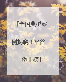 全国典型案例揭晓！平谷一例上榜