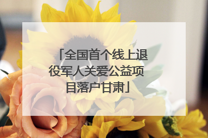 全国首个线上退役军人关爱公益项目落户甘肃