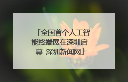 全国首个人工智能终端展在深圳启幕_深圳新闻网