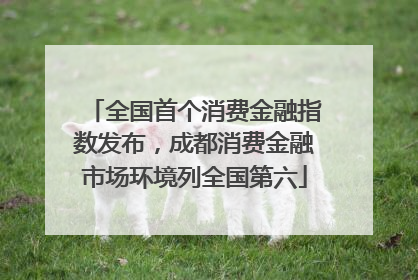 全国首个消费金融指数发布，成都消费金融市场环境列全国第六