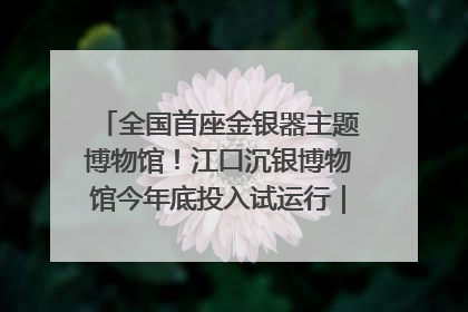 全国首座金银器主题博物馆！江口沉银博物馆今年底投入试运行｜万千气象看四川