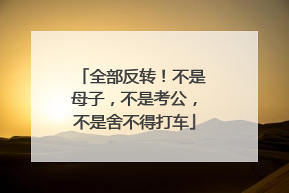 全部反转！不是母子，不是考公，不是舍不得打车