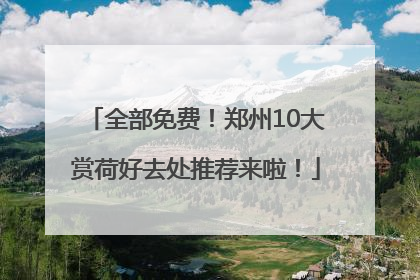 全部免费！郑州10大赏荷好去处推荐来啦！