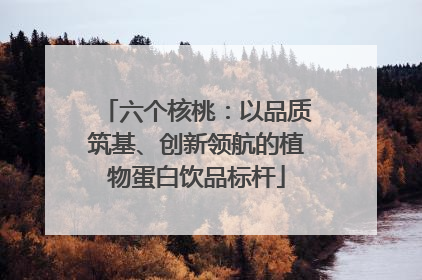 六个核桃：以品质筑基、创新领航的植物蛋白饮品标杆