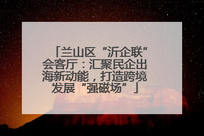 兰山区“沂企联”会客厅：汇聚民企出海新动能，打造跨境发展“强磁场”