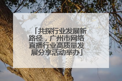 共探行业发展新路径，广州市网络直播行业高质量发展分享活动举办