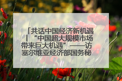 共话中国经济新机遇丨“中国超大规模市场带来巨大机遇”——访塞尔维亚经济部国务秘书尼科利奇