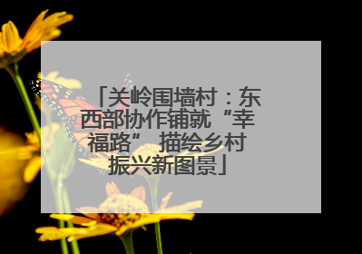 关岭围墙村：东西部协作铺就“幸福路” 描绘乡村振兴新图景