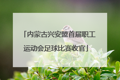内蒙古兴安盟首届职工运动会足球比赛收官