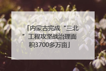 内蒙古完成“三北”工程攻坚战治理面积3700多万亩