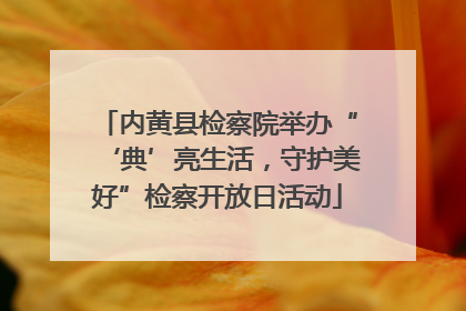 内黄县检察院举办“‘典’亮生活，守护美好”检察开放日活动