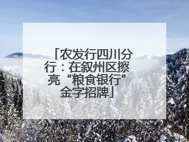 农发行四川分行：在叙州区擦亮“粮食银行”金字招牌
