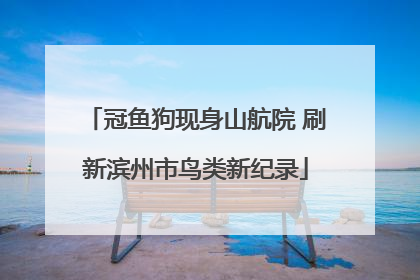 冠鱼狗现身山航院 刷新滨州市鸟类新纪录