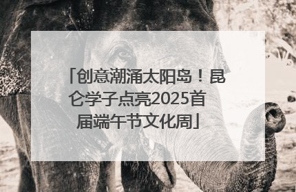 创意潮涌太阳岛！昆仑学子点亮2025首届端午节文化周