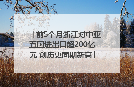 前5个月浙江对中亚五国进出口超200亿元 创历史同期新高