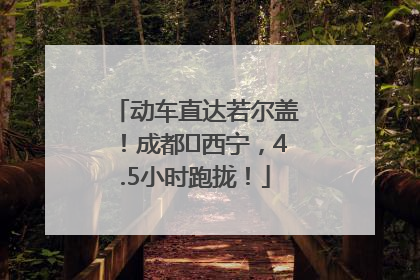 动车直达若尔盖！成都⇄西宁，4.5小时跑拢！