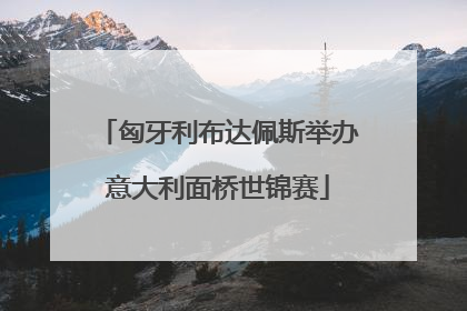匈牙利布达佩斯举办意大利面桥世锦赛