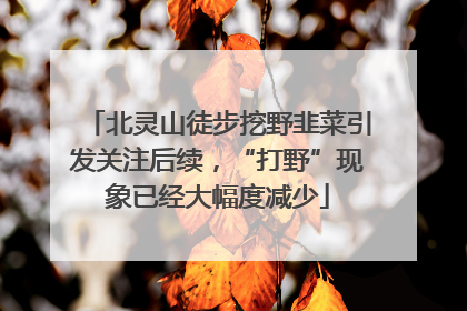 北灵山徒步挖野韭菜引发关注后续，“打野”现象已经大幅度减少