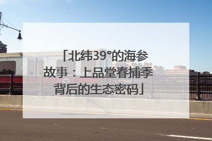 北纬39°的海参故事：上品堂春捕季背后的生态密码