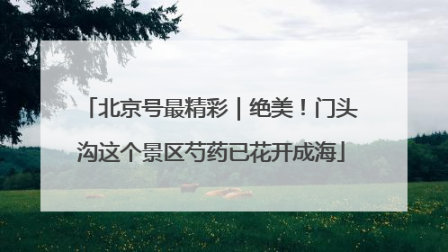 北京号最精彩｜绝美！门头沟这个景区芍药已花开成海