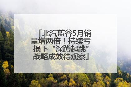 北汽蓝谷5月销量增两倍！持续亏损下“深蹲起跳”战略成效待观察