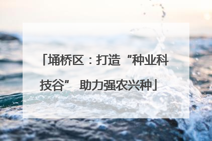 埇桥区：打造“种业科技谷” 助力强农兴种