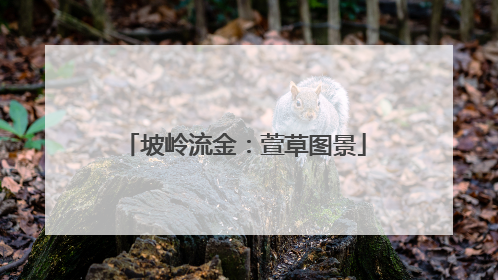 坡岭流金：萱草图景