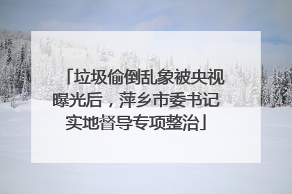 垃圾偷倒乱象被央视曝光后，萍乡市委书记实地督导专项整治