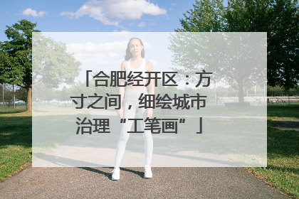 合肥经开区：方寸之间，细绘城市治理“工笔画”