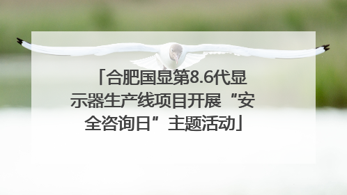 合肥国显第8.6代显示器生产线项目开展“安全咨询日”主题活动