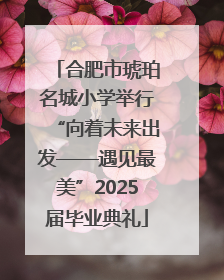 合肥市琥珀名城小学举行“向着未来出发——遇见最美”2025届毕业典礼