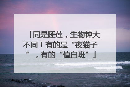 同是睡莲，生物钟大不同！有的是“夜猫子”，有的“值白班”