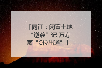 同江：闲置土地“逆袭”记 万寿菊“C位出道”