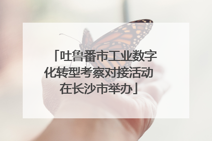 吐鲁番市工业数字化转型考察对接活动在长沙市举办