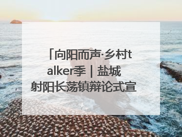 向阳而声·乡村talker季｜盐城射阳长荡镇辩论式宣讲有看头有热度