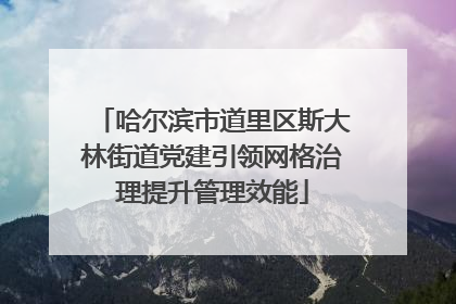 哈尔滨市道里区斯大林街道党建引领网格治理提升管理效能