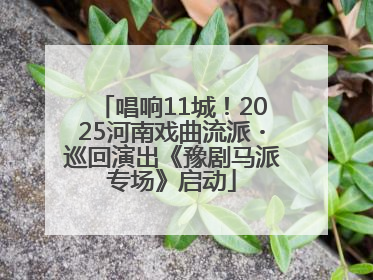 唱响11城！2025河南戏曲流派・巡回演出《豫剧马派专场》启动