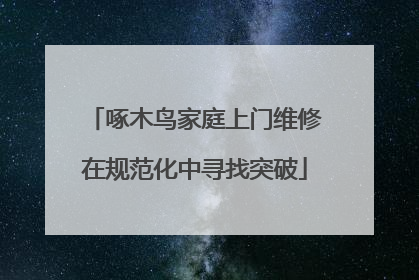 啄木鸟家庭上门维修在规范化中寻找突破