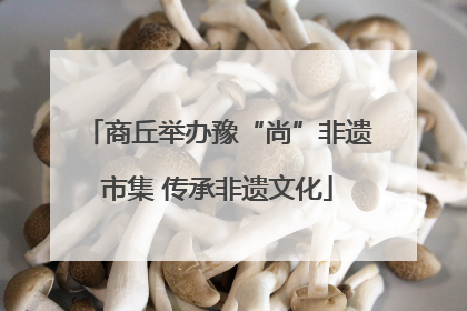 商丘举办豫“尚”非遗市集 传承非遗文化