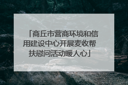 商丘市营商环境和信用建设中心开展麦收帮扶慰问活动暖人心