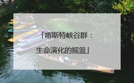 喀斯特峡谷群：生命演化的摇篮